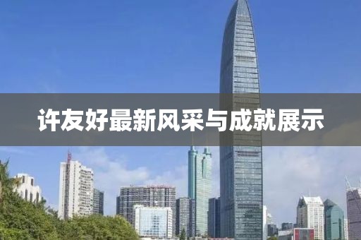许友好最新风采与成就展示