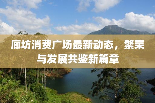 廊坊消费广场最新动态，繁荣与发展共鉴新篇章