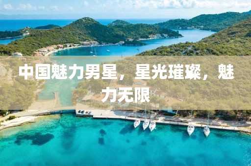 中国魅力男星，星光璀璨，魅力无限