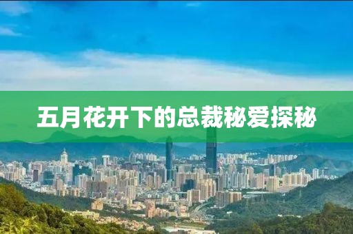 五月花开下的总裁秘爱探秘