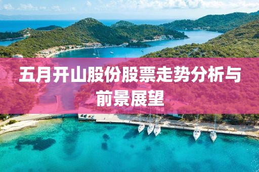 五月开山股份股票走势分析与前景展望