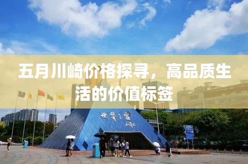 五月川崎价格探寻，高品质生活的价值标签