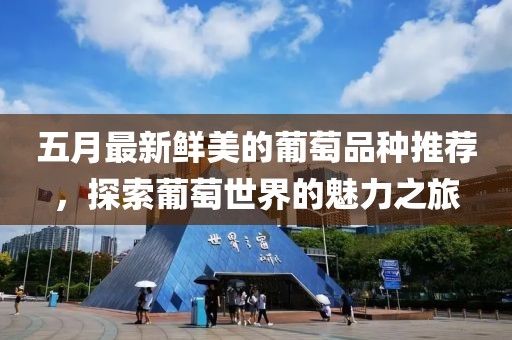五月最新鲜美的葡萄品种推荐，探索葡萄世界的魅力之旅