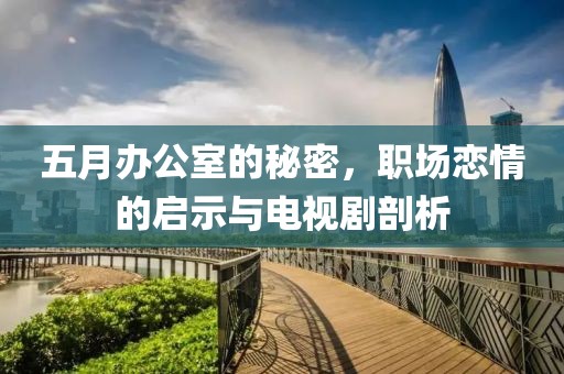 五月办公室的秘密，职场恋情的启示与电视剧剖析