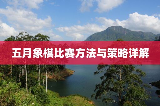 五月象棋比赛方法与策略详解