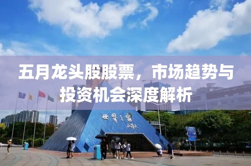 五月龙头股股票，市场趋势与投资机会深度解析