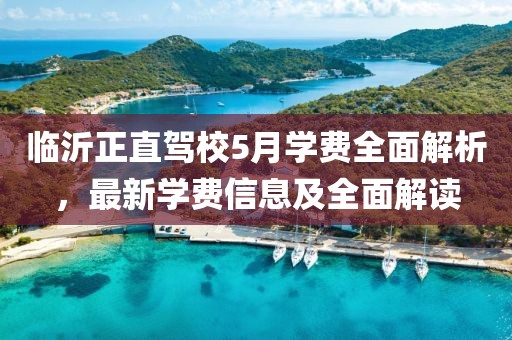 临沂正直驾校5月学费全面解析，最新学费信息及全面解读
