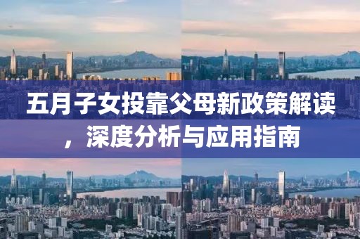 五月子女投靠父母新政策解读，深度分析与应用指南