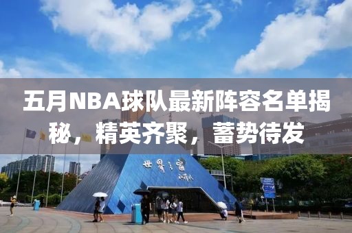 五月NBA球队最新阵容名单揭秘，精英齐聚，蓄势待发
