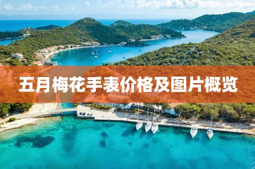 五月梅花手表价格及图片概览