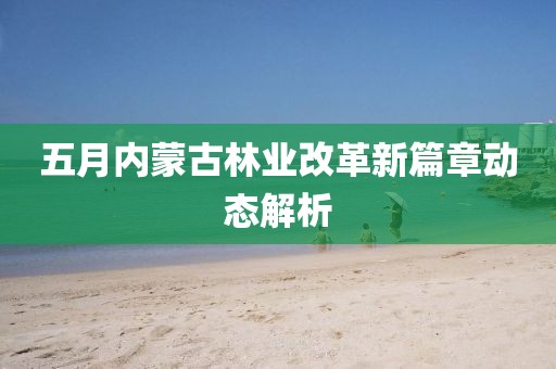 五月内蒙古林业改革新篇章动态解析
