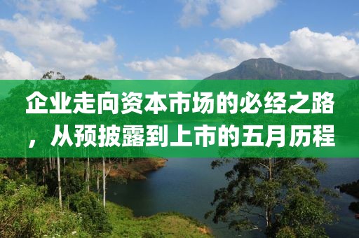 企业走向资本市场的必经之路，从预披露到上市的五月历程
