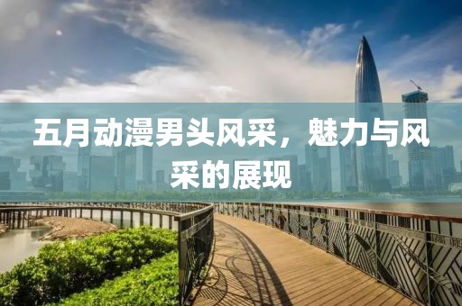 五月动漫男头风采，魅力与风采的展现