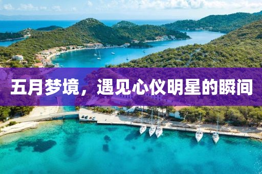 五月梦境，遇见心仪明星的瞬间