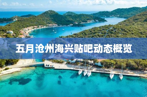 五月沧州海兴贴吧动态概览