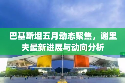 巴基斯坦五月动态聚焦，谢里夫最新进展与动向分析