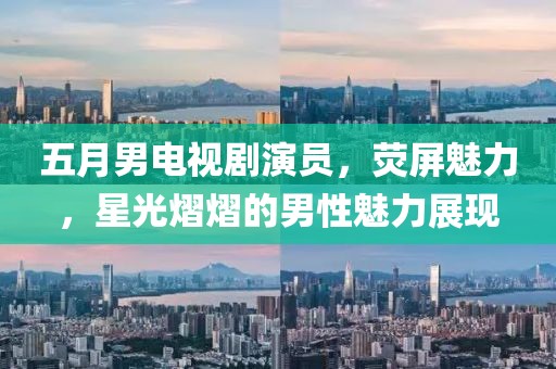 五月男电视剧演员，荧屏魅力，星光熠熠的男性魅力展现