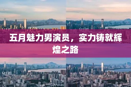 五月魅力男演员，实力铸就辉煌之路