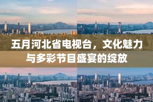 五月河北省电视台，文化魅力与多彩节目盛宴的绽放