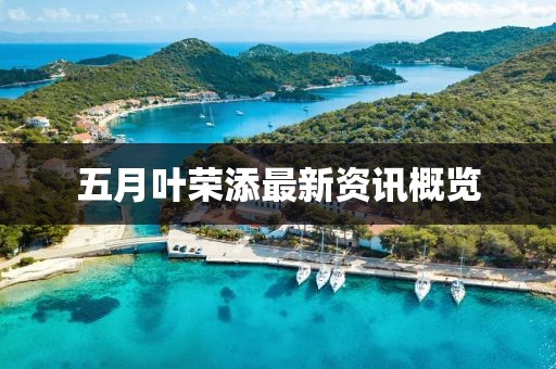 五月叶荣添最新资讯概览
