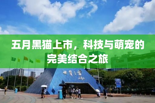五月黑猫上市，科技与萌宠的完美结合之旅