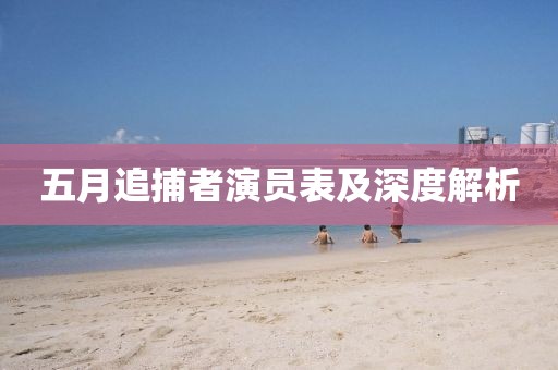 五月追捕者演员表及深度解析
