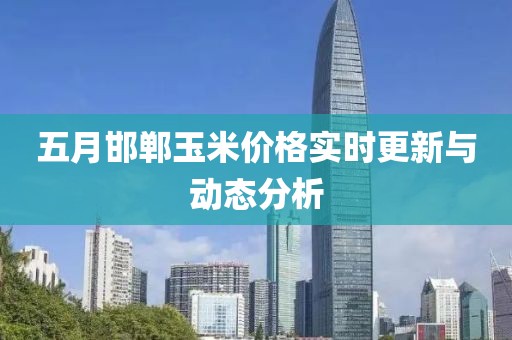 五月邯郸玉米价格实时更新与动态分析