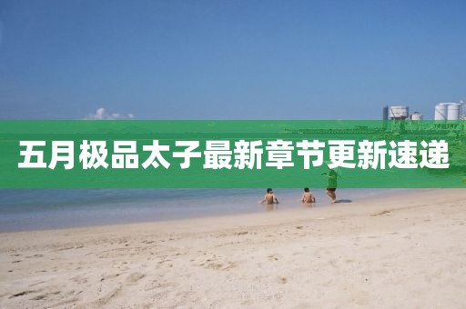 五月极品太子最新章节更新速递