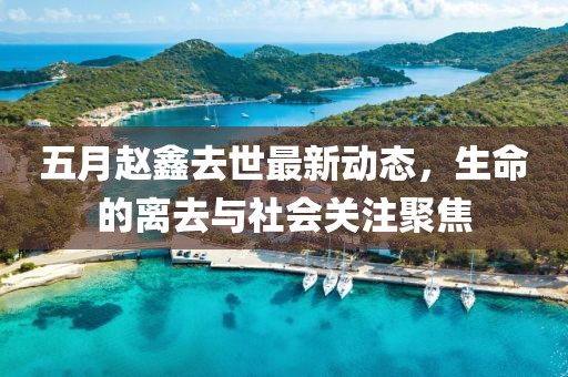 五月赵鑫去世最新动态，生命的离去与社会关注聚焦