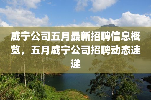 威宁公司五月最新招聘信息概览，五月威宁公司招聘动态速递