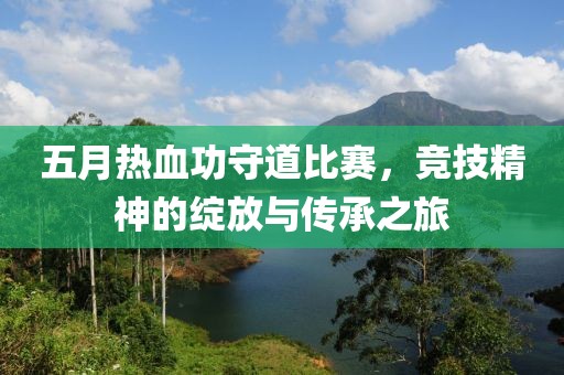 五月热血功守道比赛，竞技精神的绽放与传承之旅