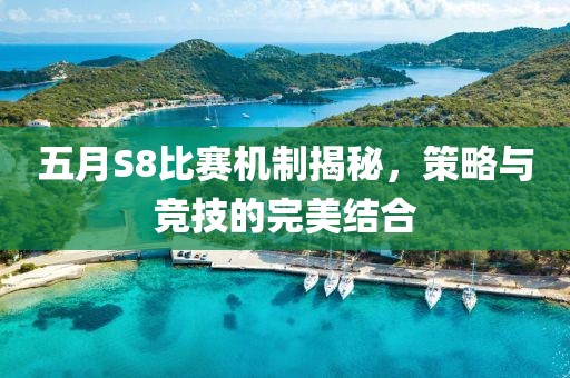 五月S8比赛机制揭秘，策略与竞技的完美结合