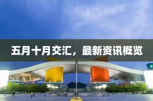2025年5月3日 第2页