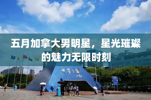 五月加拿大男明星，星光璀璨的魅力无限时刻
