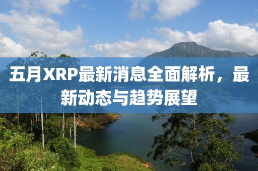 五月XRP最新消息全面解析，最新动态与趋势展望