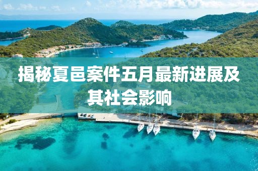 揭秘夏邑案件五月最新进展及其社会影响