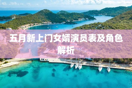 五月新上门女婿演员表及角色解析