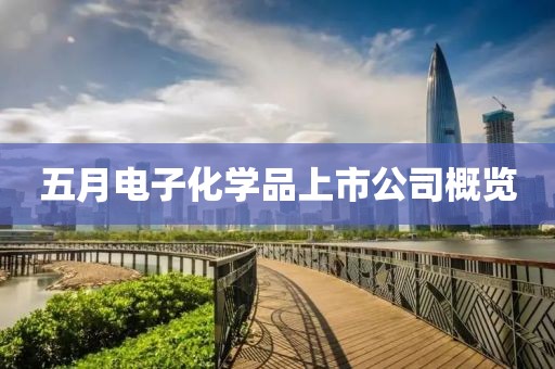 五月电子化学品上市公司概览
