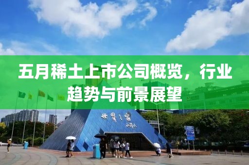 五月稀土上市公司概览，行业趋势与前景展望