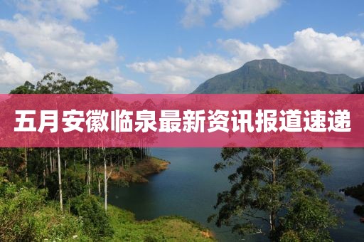五月安徽临泉最新资讯报道速递