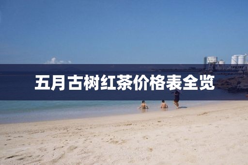 五月古树红茶价格表全览