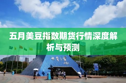 五月美豆指数期货行情深度解析与预测