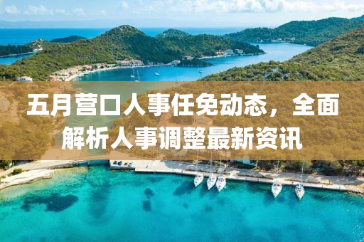 五月营口人事任免动态，全面解析人事调整最新资讯