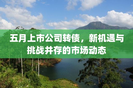 五月上市公司转债，新机遇与挑战并存的市场动态