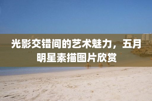 光影交错间的艺术魅力，五月明星素描图片欣赏