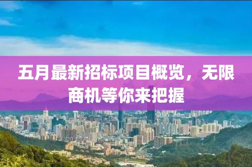 五月最新招标项目概览，无限商机等你来把握