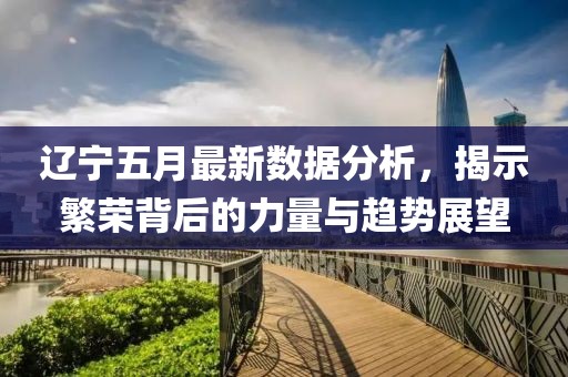 辽宁五月最新数据分析，揭示繁荣背后的力量与趋势展望