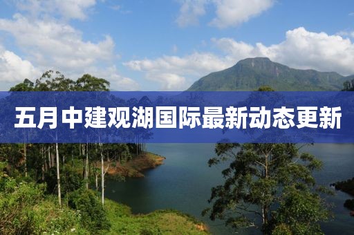 五月中建观湖国际最新动态更新