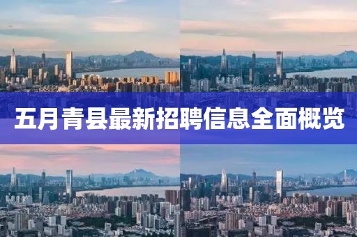 五月青县最新招聘信息全面概览