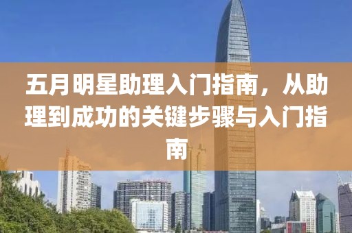 五月明星助理入门指南，从助理到成功的关键步骤与入门指南